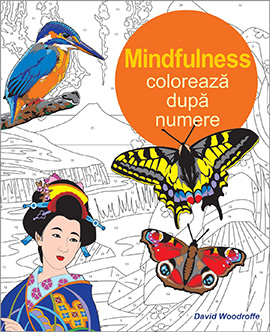 Coloreaza dupa numere - Mindfulness