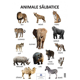 Plansa - Animale salbatice