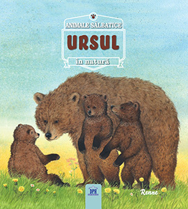 Ursul