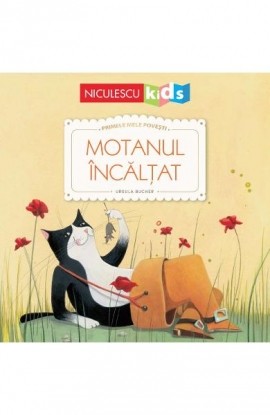 Motanul Ã®ncÄƒlÈ›at (Seria Primele mele poveÈ™ti)