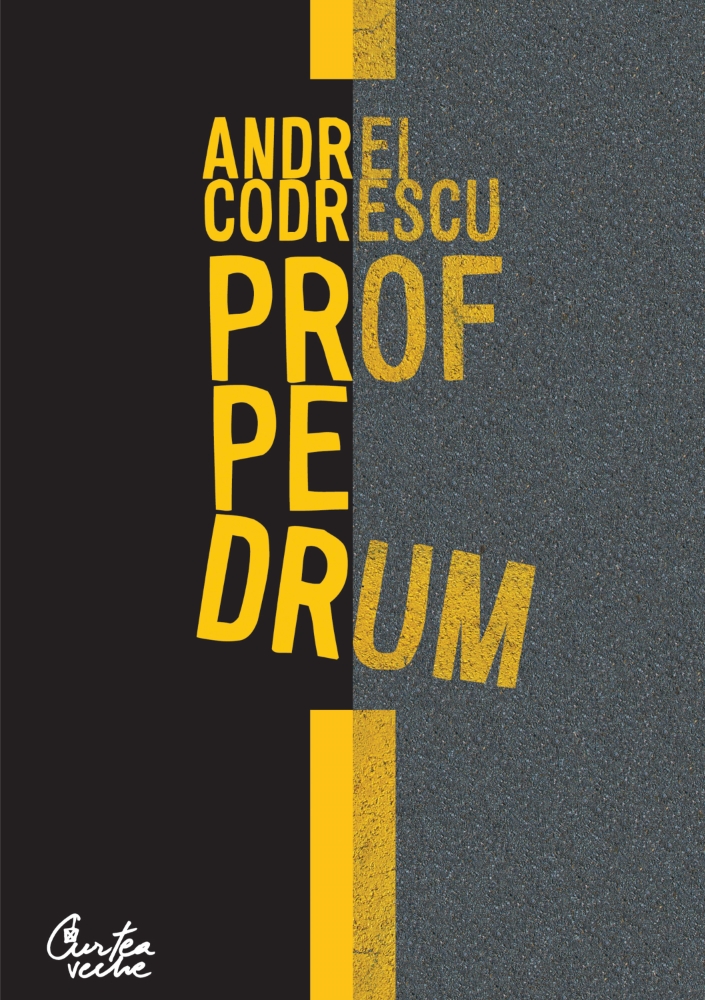 Prof pe drum